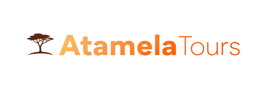Atemala_Tours_logo_part_thousand-removebg-preview